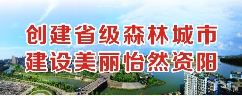 欧美胖屄创建省级森林城市 建设美丽怡然资阳